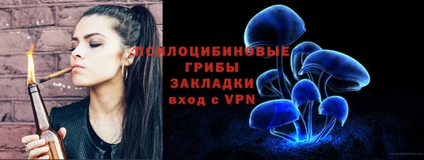 мдпв Козловка