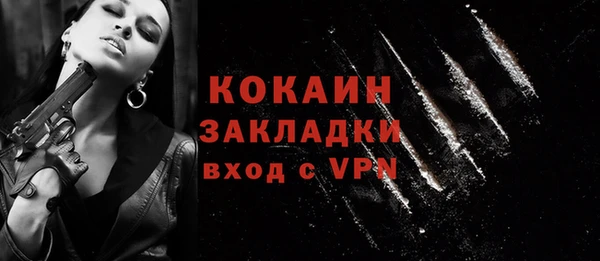 мдпв Козловка