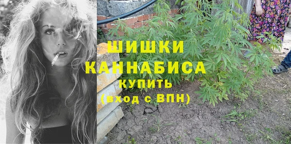 мдпв Козловка